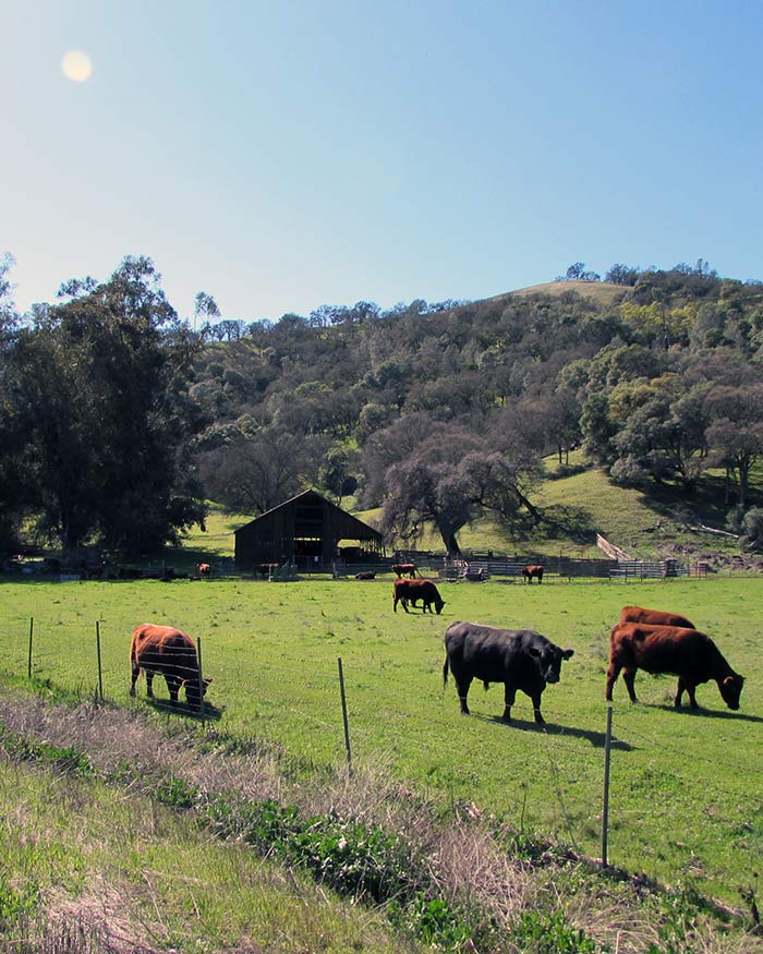 Waterfront and Lakefront properties in Clearlake CA