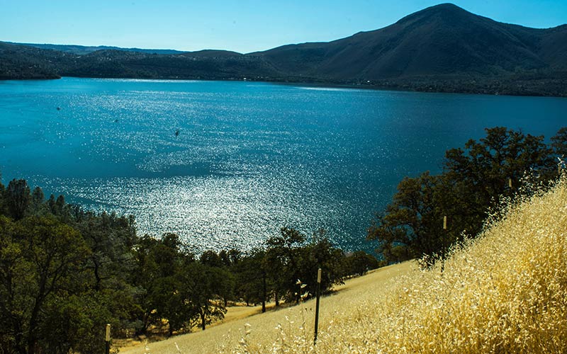 Fishing at Clearlake California